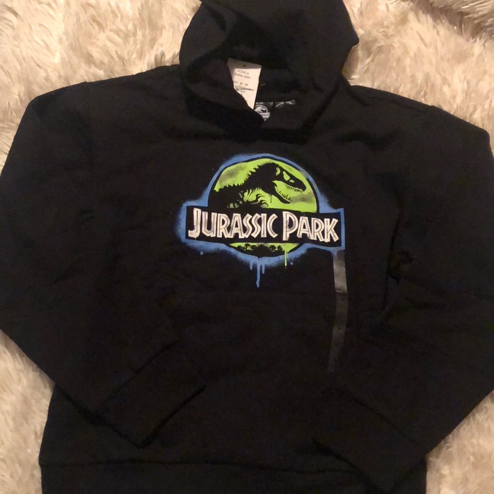 Jurassic park youth small hoodie